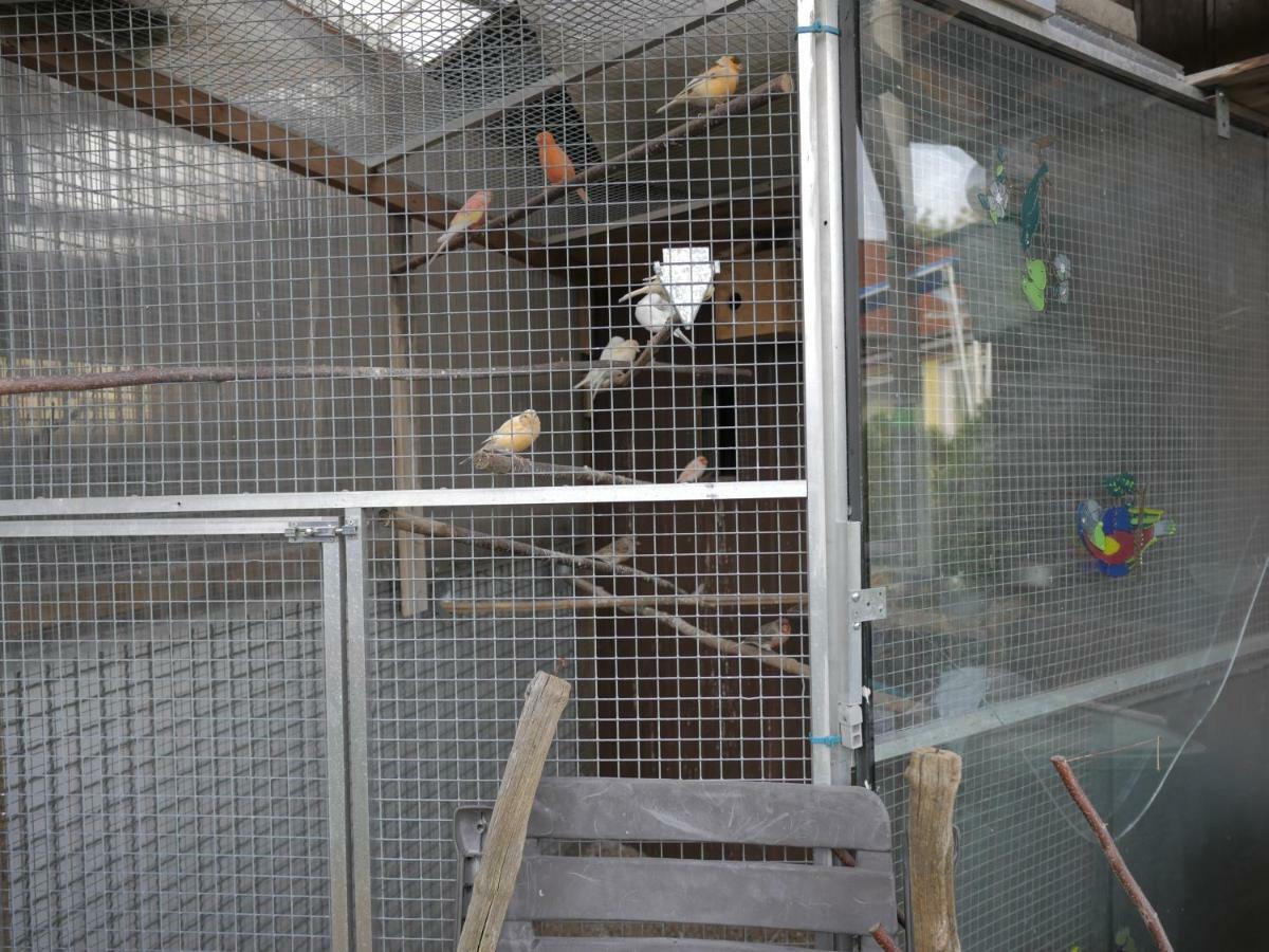 Zimmervermietung Am Teutoburger Wald Lage  Ngoại thất bức ảnh